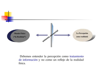 sistema sensorial Debemos entender la percepción como  tratamiento de información  y no como un reflejo de la realidad física. La Percepción (una realidad) Mundo Físico (“la Realidad”) 
