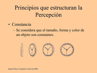 Principios que estructuran la
Percepción
• Constancia
– Se considera que el tamaño, forma y color de
un objeto son constantes.
Samuel Ñanco S. Ingeniero Comercial MBA
 