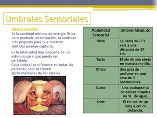 Umbrales Sensoriales
Umbral Absoluto
Es la cantidad mínima de energía física
para producir un sensación, la cantidad
más pequeña para que nuestros
sentidos puedan captarla.
Modalidad
Sensorial
Umbral Absoluto
Vista La llama de una
vela a una
distancia de 27
km.
Tacto El ala de una abeja
en nuestra mejilla.
Olfato Una gota de
perfume en una
casa de 3
habitaciones.
Gusto Una cucharadita
de azúcar disuelta
en 9L de agua.
Oído El tic-tac de un
reloj a 6m de
distancia.
Es la intensidad mas pequeña de un
estimulo para que pueda ser
percibido.
Cada umbral es diferente en todas las
personas, solo se tienen
aproximaciones de los ideales.
 