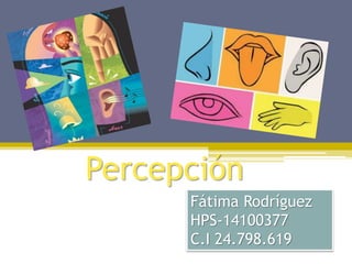Percepción
Fátima Rodríguez
HPS-14100377
C.I 24.798.619
 
