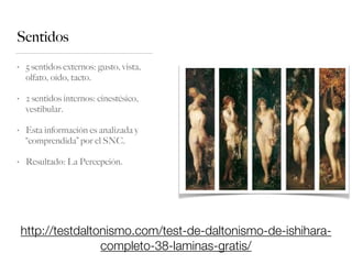 Sentidos
• 5 sentidos externos: gusto, vista,
olfato, oído, tacto.
• 2 sentidos internos: cinestésico,
vestibular.
• Esta información es analizada y
“comprendida” por el SNC.
• Resultado: La Percepción.
http://testdaltonismo.com/test-de-daltonismo-de-ishihara-
completo-38-laminas-gratis/
 
