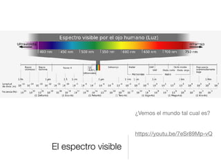 El espectro visible
¿Vemos el mundo tal cual es?

https://youtu.be/7eSr89Mp-vQ

 