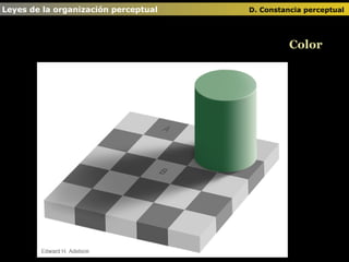 Leyes de la organización perceptual      D. Constancia perceptual   Color 