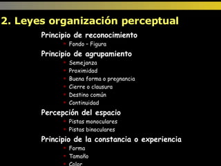 Principio de reconocimiento Fondo – Figura Principio de agrupamiento Semejanza Proximidad Buena forma o pregnancia Cierre o clausura Destino común Continuidad Percepción del espacio Pistas monoculares Pistas binoculares Principio de la constancia o experiencia Forma Tamaño Color  2. Leyes organización perceptual  