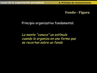 Fondo - Figura Principio organizativo fundamental. La mente “conoce” un estímulo cuando lo organiza en una forma que se  recortan sobre un fondo  Leyes de la organización perceptual  A. Principio de reconocimiento   