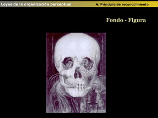 Fondo - Figura Leyes de la organización perceptual  A. Principio de reconocimiento   