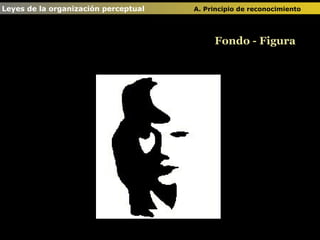 Fondo - Figura Leyes de la organización perceptual  A. Principio de reconocimiento   