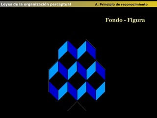 Fondo - Figura Leyes de la organización perceptual  A. Principio de reconocimiento   