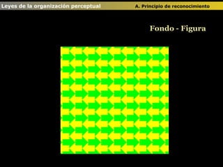 Fondo - Figura Leyes de la organización perceptual  A. Principio de reconocimiento   