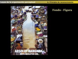 Fondo - Figura Leyes de la organización perceptual  A. Principio de reconocimiento   