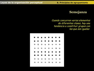 Semejanza Cuando concurren varios elementos de diferentes clases, hay una tendencia a constituir grupos con los que son iguales  Leyes de la organización perceptual  B. Principios de agrupamiento   