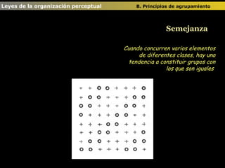 Semejanza Cuando concurren varios elementos de diferentes clases, hay una tendencia a constituir grupos con los que son iguales  Leyes de la organización perceptual  B. Principios de agrupamiento   