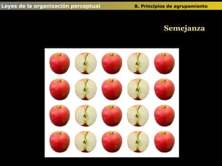 Semejanza Leyes de la organización perceptual  B. Principios de agrupamiento   