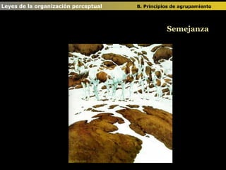 Semejanza Leyes de la organización perceptual  B. Principios de agrupamiento   