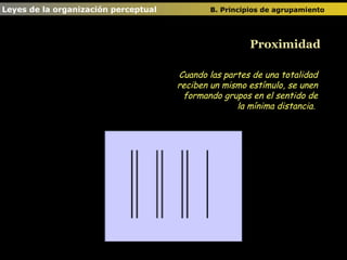 Cuando las partes de una totalidad reciben un mismo estímulo, se unen formando grupos en el sentido de la mínima distancia.  Proximidad Leyes de la organización perceptual  B. Principios de agrupamiento   