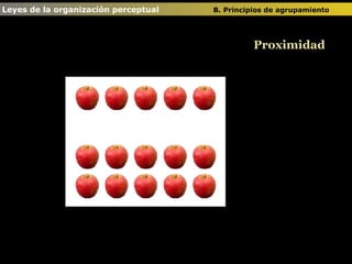 Proximidad Leyes de la organización perceptual  B. Principios de agrupamiento   