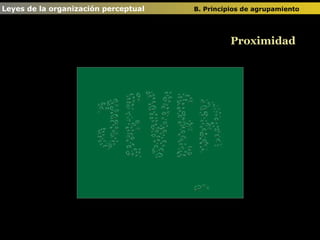 Proximidad Leyes de la organización perceptual  B. Principios de agrupamiento   
