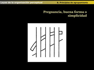 Leyes de la organización perceptual  B. Principios de agrupamiento   Pregnancia, buena forma o simplicidad 