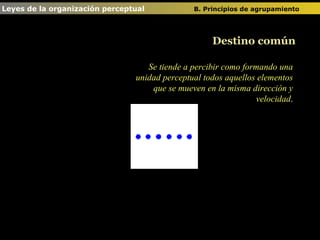 Leyes de la organización perceptual  B. Principios de agrupamiento   Destino común Se tiende a percibir como formando una unidad perceptual todos aquellos elementos que se mueven en la misma dirección y velocidad . 