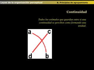 Leyes de la organización perceptual  B. Principios de agrupamiento   Continuidad Todos los estímulos que guardan entre si una continuidad se perciben como formando una unidad . 