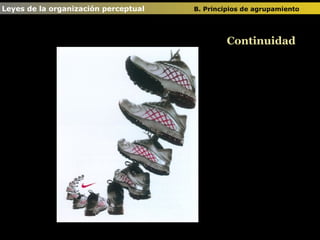 Leyes de la organización perceptual  B. Principios de agrupamiento   Continuidad 