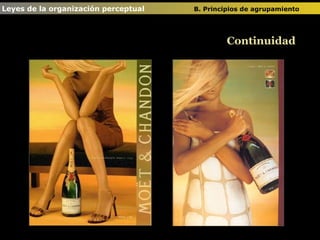 Leyes de la organización perceptual  B. Principios de agrupamiento   Continuidad 
