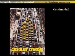 Leyes de la organización perceptual  B. Principios de agrupamiento   Continuidad 