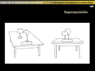 Superposición Leyes de la organización perceptual    C. Percepción de distancia y profundidad   