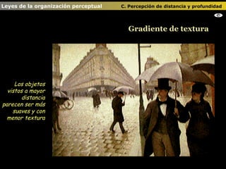 Gradiente de textura Leyes de la organización perceptual    C. Percepción de distancia y profundidad   Los objetos vistos a mayor distancia parecen ser más suaves y con menor textura 