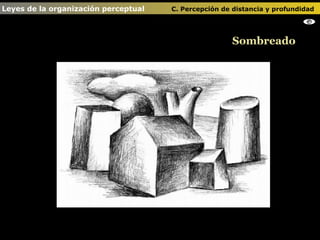 Sombreado Leyes de la organización perceptual    C. Percepción de distancia y profundidad   