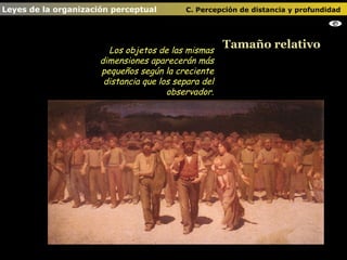 Tamaño relativo Leyes de la organización perceptual    C. Percepción de distancia y profundidad   Los objetos de las mismas dimensiones aparecerán más pequeños según la creciente distancia que los separa del observador. 