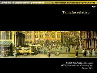 Canaletto:  Piazza San Marcos  (1729) Nelson-Atkins Museum of Art, Kansas City. Tamaño relativo Leyes de la organización perceptual    C. Percepción de distancia y profundidad                                   