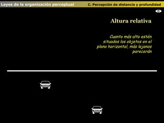     Altura relativa Leyes de la organización perceptual    C. Percepción de distancia y profundidad   Cuanto más alto estén situados los objetos en el plano horizontal, más lejanos parecerán 