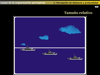 Tamaño relativo Leyes de la organización perceptual    C. Percepción de distancia y profundidad                                   