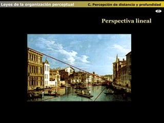 Perspectiva lineal Leyes de la organización perceptual    C. Percepción de distancia y profundidad                                   