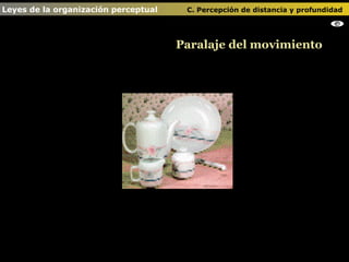Paralaje del movimiento Leyes de la organización perceptual    C. Percepción de distancia y profundidad                                                                                            