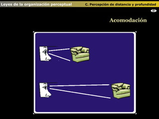 Acomodación Leyes de la organización perceptual    C. Percepción de distancia y profundidad                                                                                            