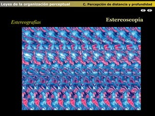 Estereografías Estereoscopía Leyes de la organización perceptual    C. Percepción de distancia y profundidad                                                                                                                                                
