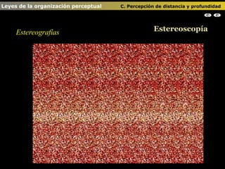 Estereografías Estereoscopía Leyes de la organización perceptual    C. Percepción de distancia y profundidad                                                                                                                                                