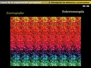 Estereografías Estereoscopía Leyes de la organización perceptual    C. Percepción de distancia y profundidad                                                                                                                                                