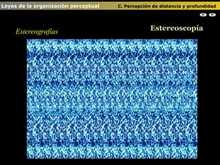 Estereografías Estereoscopía Leyes de la organización perceptual    C. Percepción de distancia y profundidad                                                                                                                                                