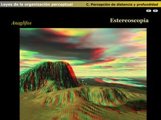 Anaglifos Estereoscopía Leyes de la organización perceptual    C. Percepción de distancia y profundidad                                                                                                                                                
