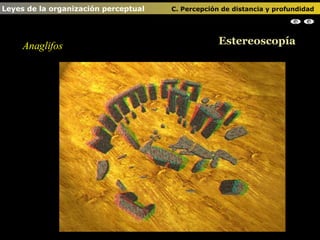 Anaglifos Estereoscopía Leyes de la organización perceptual    C. Percepción de distancia y profundidad                                                                                                                                                