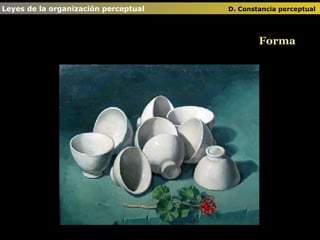 Leyes de la organización perceptual      D. Constancia perceptual   Forma 