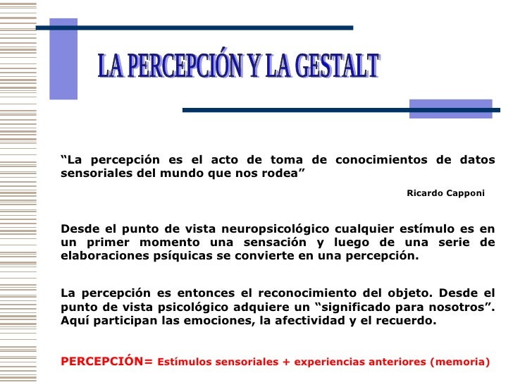 Ejemplos De Percepcion En La Vida