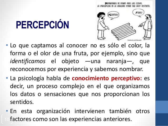 Factores Que Influyen En La Percepcion Ejemplos