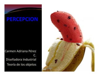 Carmen Adriana Pérez 
                    C.
 Diseñadora Industrial
 Teoría de los objetos
 