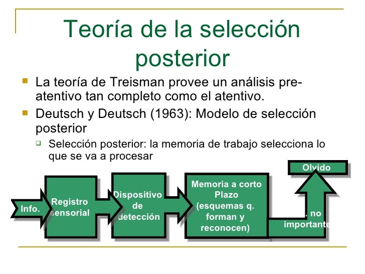 Percepcion Atencion Y Reconocimiento De Objetos