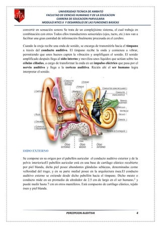 UNIVERSIDAD TECNICA DE AMBATO
                FACULTAD DE CIENCIAS HUMANAS Y DE LA EDUCACION
                      CARRERA DE EDUCACION PARVULARIA
              MODULO NTICS II Y DESARROLLO DE LAS FUNCIONES BASICAS

convertir en sensación sonora Se trata de un complejísimo sistema, el cual trabaja en
combinación con otros Todos ellos transductores sensoriales (ojos, tacto, etc.) nos van a
facilitar una gran cantidad de información finalmente procesada en el cerebro.

Cuando la oreja recibe una onda de sonido, se encarga de transmitirla hacia el tímpano
a través del conducto auditivo. El tímpano recibe la onda y comienza a vibrar,
permitiendo que unos huesos capten la vibración y amplifiquen el sonido. El sonido
amplificado después llega al oído interno y moviliza unos líquidos que actúan sobre las
células ciliadas, a cargo de transformar la onda en un impulso eléctrico que pasa por el
nervio auditivo y llega a la corteza auditiva. Recién ahí el ser humano logra
interpretar el sonido.




OIDO EXTERNO

Se compone en su origen por el pabellón auricular el conducto auditivo exterior y de la
pelvis interioriceEl pabellón auricular está en una base de cartílago elástico recubierto
por piel blanda, dicha piel posee abundantes glándulas sebáceas, denominadas como
vellosidad del trago, y en su parte medial posee en la arquitectura ósea.El conducto
auditivo externo se extiende desde dicho pabellón hacia el tímpano. Dicho meato o
conducto mide en un promedio de alrededor de 2.5 cm de largo en el ser humano, 1 y
puede medir hasta 7 cm en otros mamíferos. Está compuesto de cartílago elástico, tejido
óseo y piel blanda.




                                 PERCEPCION AUDITIVA                                   4
 