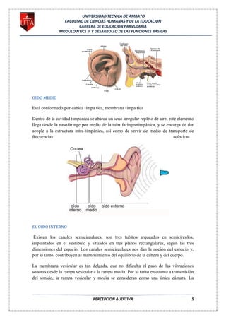 UNIVERSIDAD TECNICA DE AMBATO
                FACULTAD DE CIENCIAS HUMANAS Y DE LA EDUCACION
                      CARRERA DE EDUCACION PARVULARIA
              MODULO NTICS II Y DESARROLLO DE LAS FUNCIONES BASICAS




OIDO MEDIO

Está conformado por cabida timpa tica, membrana timpa tica

Dentro de la cavidad timpánica se abarca un seno irregular repleto de aire, este elemento
llega desde la nasofaringe por medio de la tuba faríngeotimpánica, y se encarga de dar
acople a la estructura intra-timpánica, así como de servir de medio de transporte de
frecuencias                                                                    acústicas




EL OIDO INTERNO

 Existen los canales semicirculares, son tres tubitos arqueados en semicírculos,
implantados en el vestíbulo y situados en tres planos rectangulares, según las tres
dimensiones del espacio. Los canales semicirculares nos dan la noción del espacio y,
por lo tanto, contribuyen al mantenimiento del equilibrio de la cabeza y del cuerpo.

La membrana vesicular es tan delgada, que no dificulta el paso de las vibraciones
sonoras desde la rampa vesicular a la rampa media. Por lo tanto en cuanto a transmisión
del sonido, la rampa vesicular y media se consideran como una única cámara. La



                                 PERCEPCION AUDITIVA                                   5
 